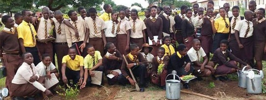 Murewa High School Uniform