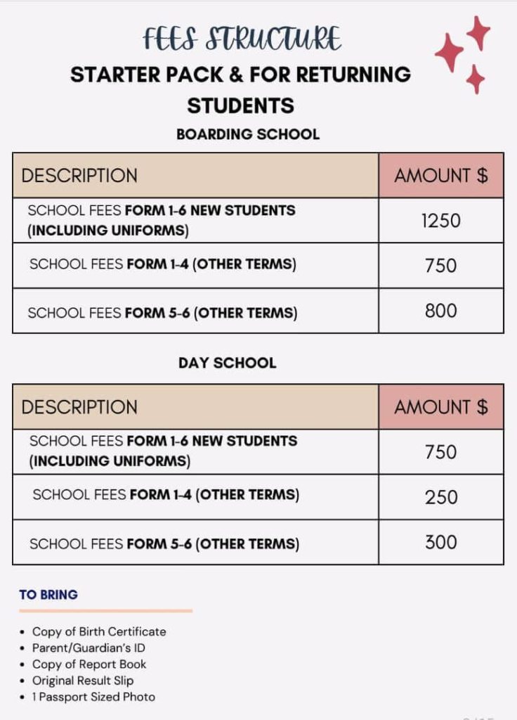 St Luke Jemedza High School Fees