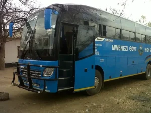 Mwenezi High School