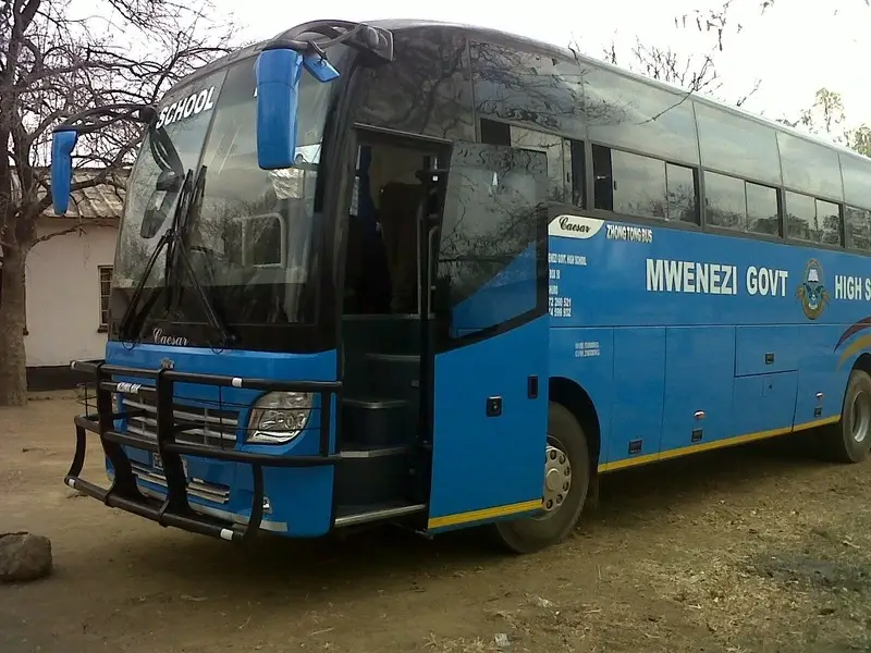 Mwenezi High School