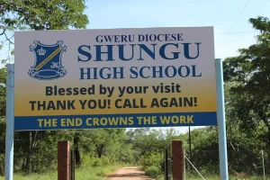 Shungu Hifgh School