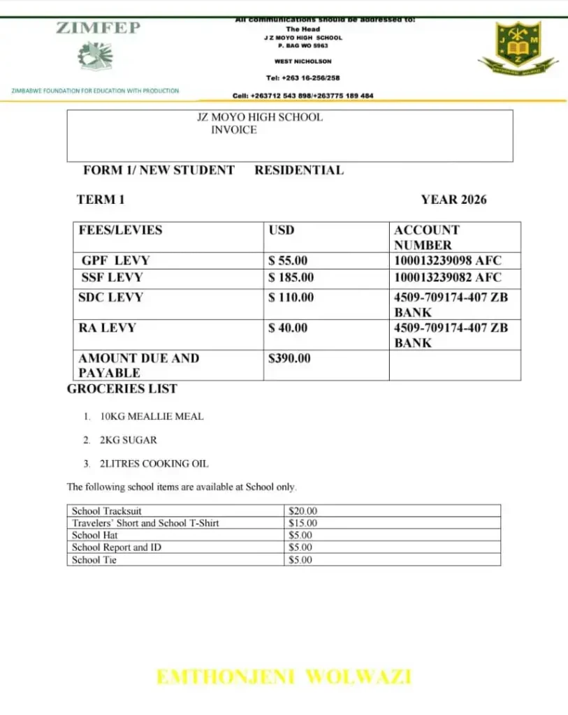 JZ Moyo Fees