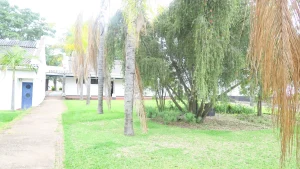 Barwick Primary School