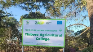 Chibero Agricultural College