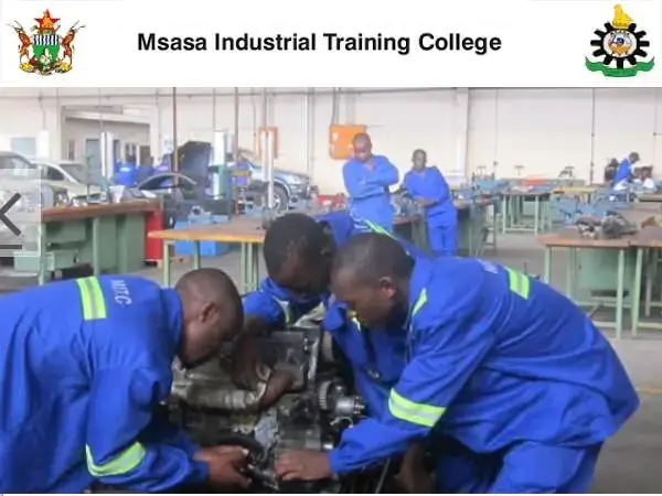 Msasa Industrial Training