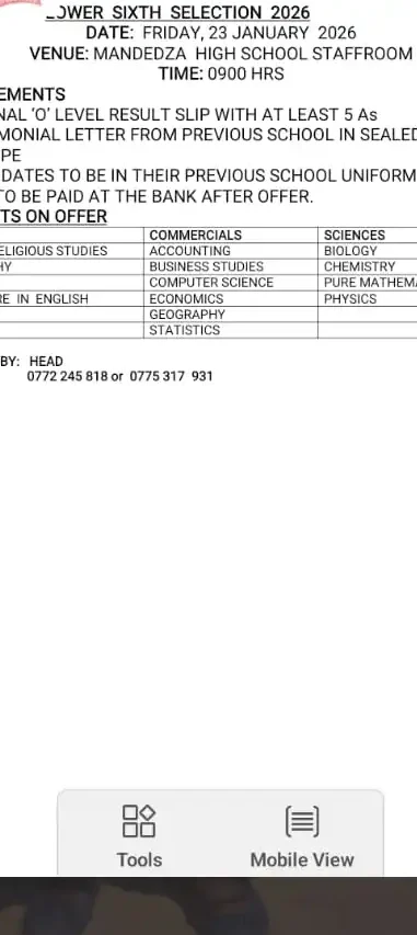Mandedza High School